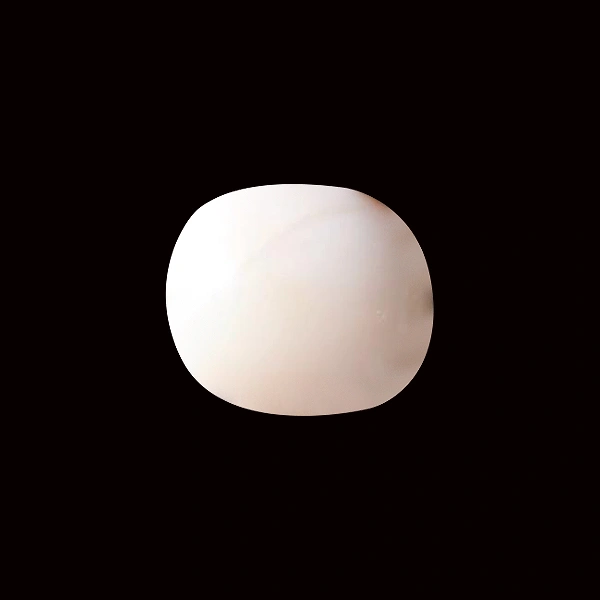 White Coral - 6.05 carats